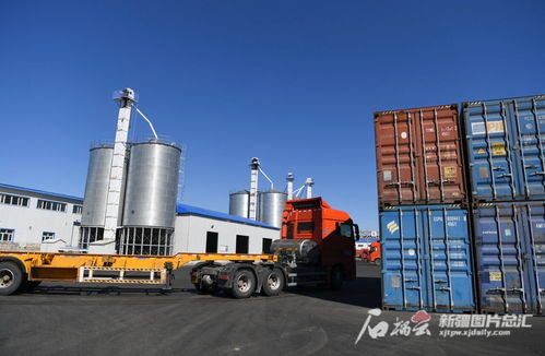 新疆糧油深加工企業依托口岸優勢，以技術開發驅動產業升級